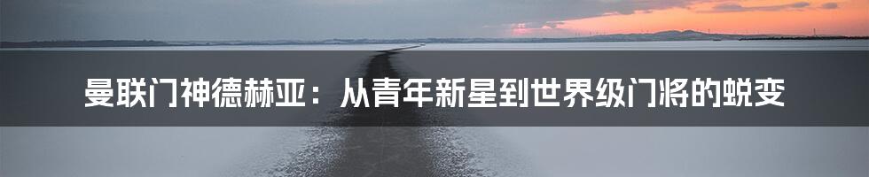 曼联门神德赫亚：从青年新星到世界级门将的蜕变