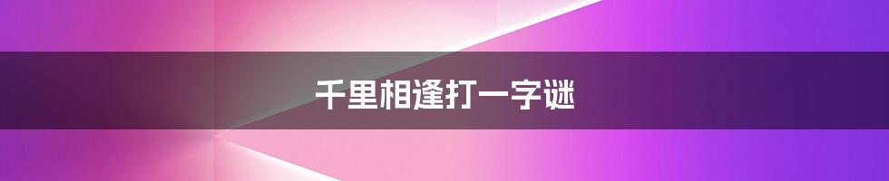 千里相逢打一字谜