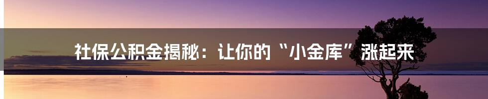 社保公积金揭秘：让你的“小金库”涨起来