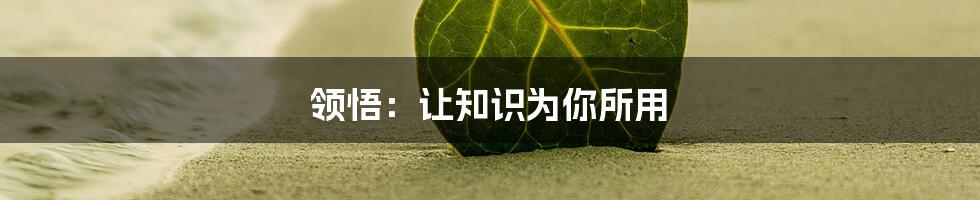 领悟：让知识为你所用