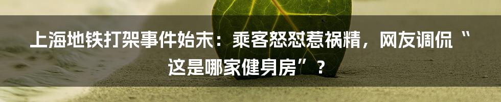 上海地铁打架事件始末：乘客怒怼惹祸精，网友调侃“这是哪家健身房”？