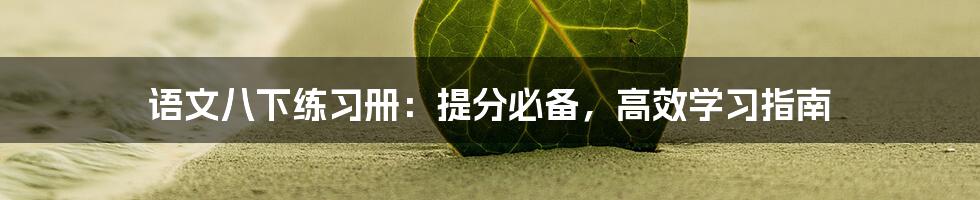 语文八下练习册：提分必备，高效学习指南