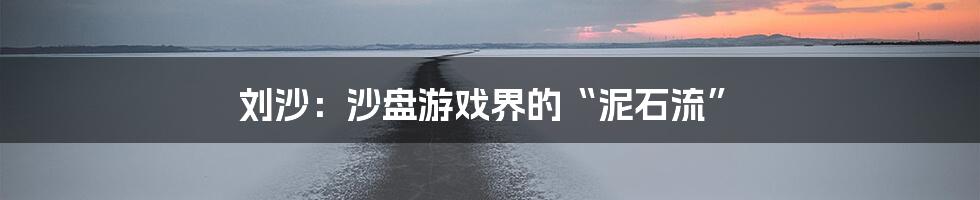 刘沙：沙盘游戏界的“泥石流”