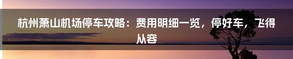 杭州萧山机场停车攻略：费用明细一览，停好车，飞得从容