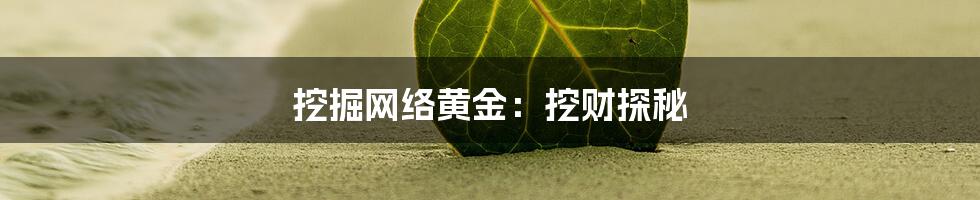 挖掘网络黄金：挖财探秘