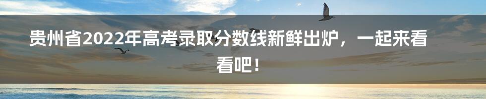 贵州省2022年高考录取分数线新鲜出炉，一起来看看吧！