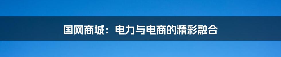 国网商城：电力与电商的精彩融合