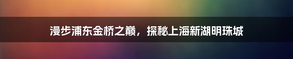 漫步浦东金桥之巅，探秘上海新湖明珠城