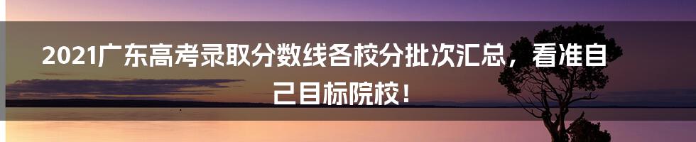 2021广东高考录取分数线各校分批次汇总，看准自己目标院校！