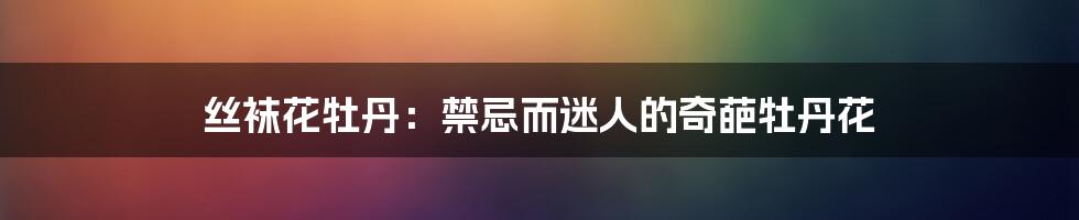 丝袜花牡丹：禁忌而迷人的奇葩牡丹花