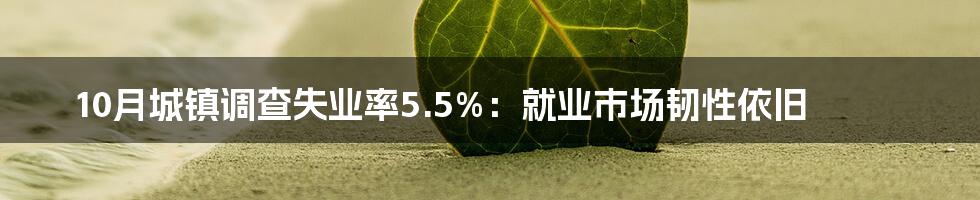 10月城镇调查失业率5.5%：就业市场韧性依旧