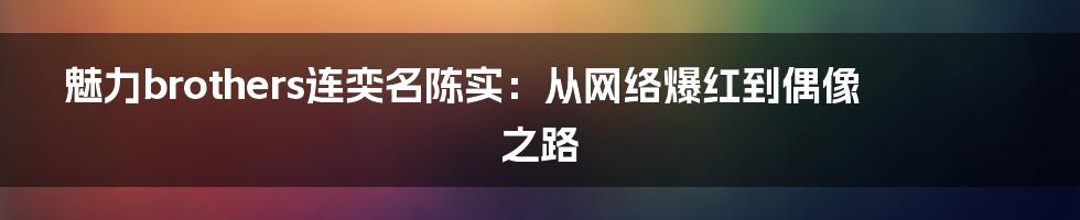 魅力brothers连奕名陈实：从网络爆红到偶像之路