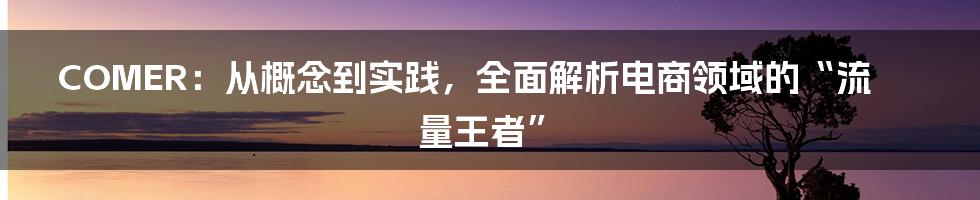 COMER：从概念到实践，全面解析电商领域的“流量王者”