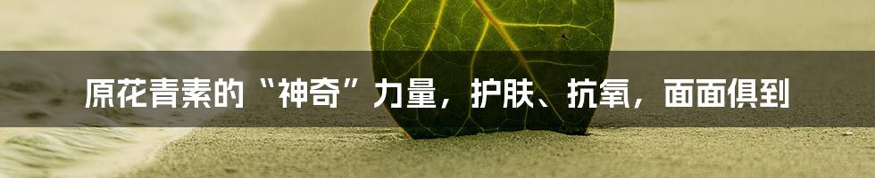 原花青素的“神奇”力量，护肤、抗氧，面面俱到