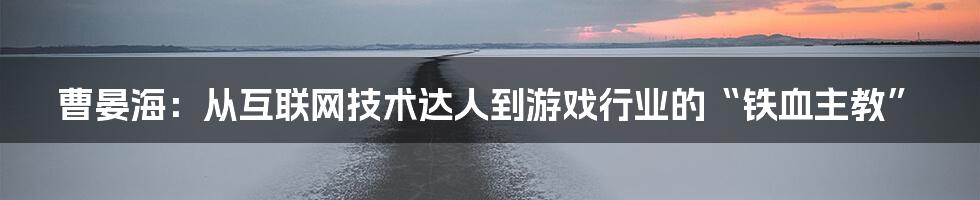 曹晏海：从互联网技术达人到游戏行业的“铁血主教”