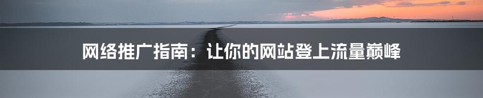 网络推广指南：让你的网站登上流量巅峰