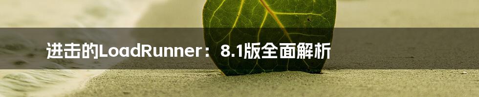 进击的LoadRunner：8.1版全面解析