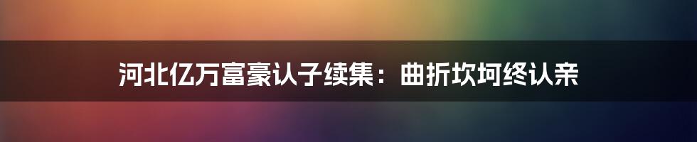 河北亿万富豪认子续集：曲折坎坷终认亲