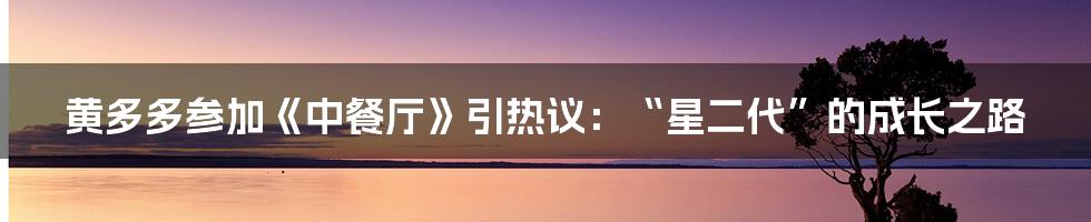 黄多多参加《中餐厅》引热议：“星二代”的成长之路