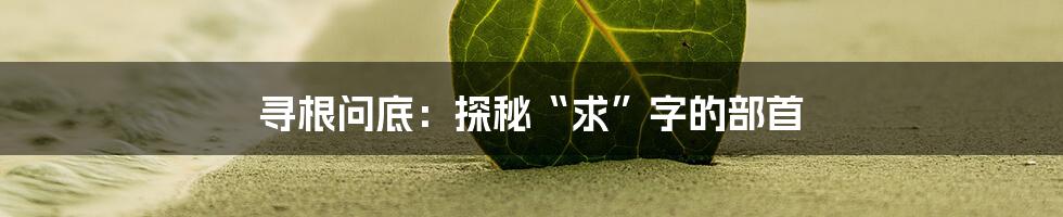 寻根问底：探秘“求”字的部首