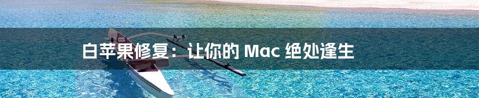 白苹果修复：让你的 Mac 绝处逢生