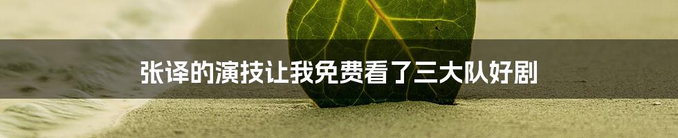 张译的演技让我免费看了三大队好剧