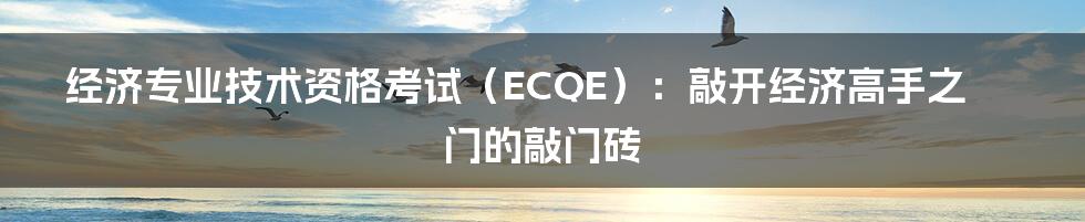 经济专业技术资格考试（ECQE）：敲开经济高手之门的敲门砖