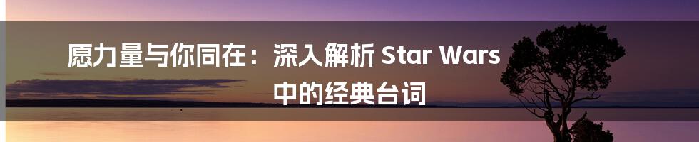 愿力量与你同在：深入解析 Star Wars 中的经典台词