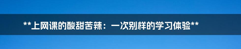 **上网课的酸甜苦辣：一次别样的学习体验**