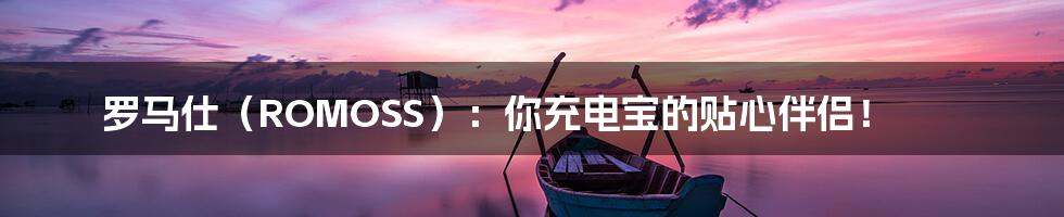 罗马仕（ROMOSS）：你充电宝的贴心伴侣！