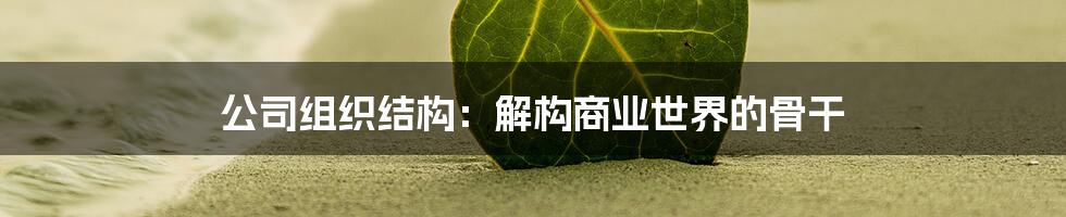 公司组织结构：解构商业世界的骨干