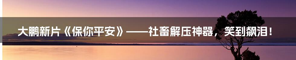 大鹏新片《保你平安》——社畜解压神器，笑到飙泪！