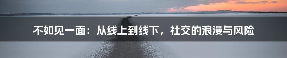 不如见一面：从线上到线下，社交的浪漫与风险