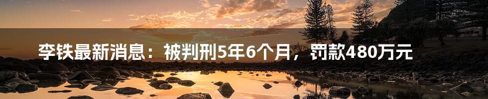 李铁最新消息：被判刑5年6个月，罚款480万元