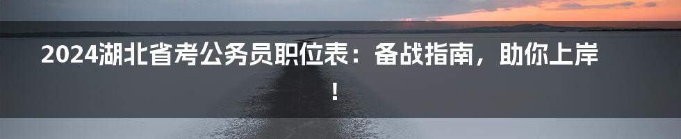 2024湖北省考公务员职位表：备战指南，助你上岸！