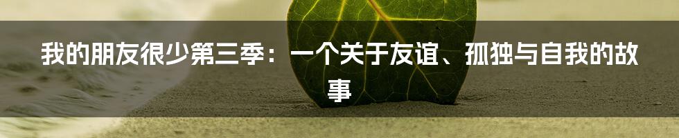 我的朋友很少第三季：一个关于友谊、孤独与自我的故事