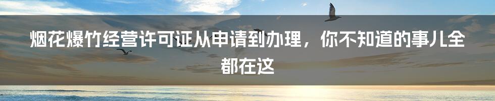 烟花爆竹经营许可证从申请到办理，你不知道的事儿全都在这