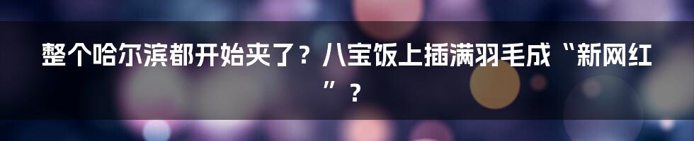 整个哈尔滨都开始夹了？八宝饭上插满羽毛成“新网红”？