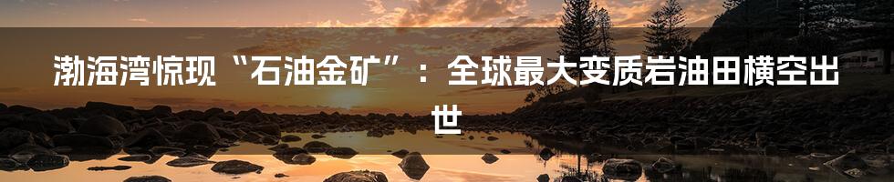 渤海湾惊现“石油金矿”：全球最大变质岩油田横空出世