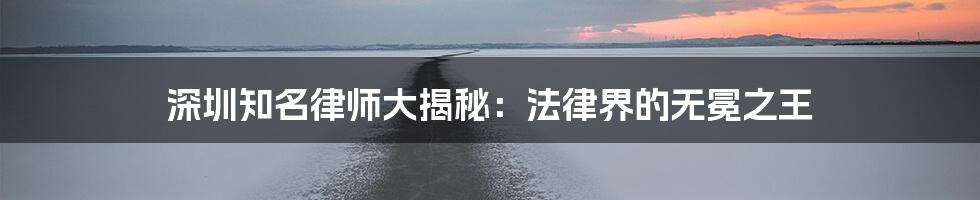 深圳知名律师大揭秘：法律界的无冕之王