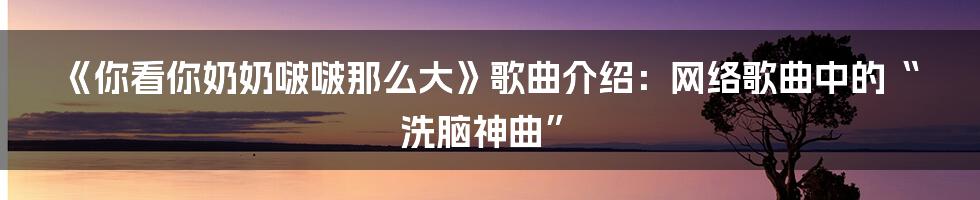 《你看你奶奶啵啵那么大》歌曲介绍：网络歌曲中的“洗脑神曲”