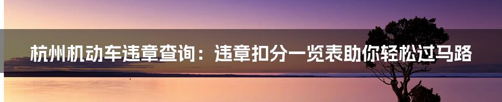 杭州机动车违章查询：违章扣分一览表助你轻松过马路