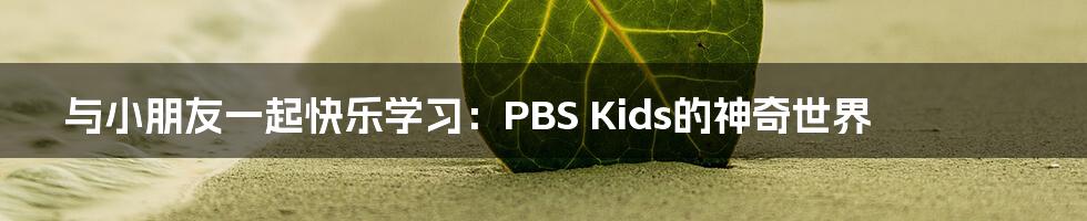 与小朋友一起快乐学习：PBS Kids的神奇世界