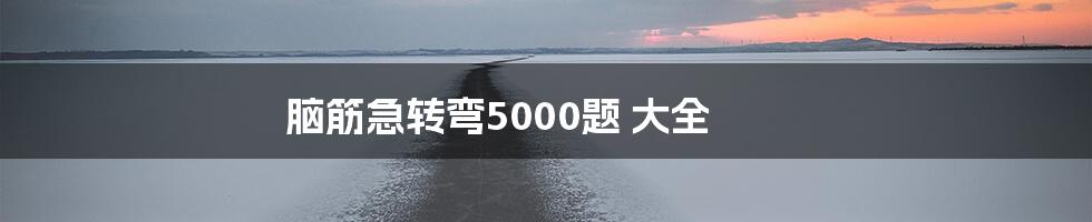 脑筋急转弯5000题 大全