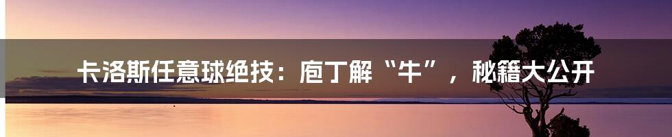 卡洛斯任意球绝技：庖丁解“牛”，秘籍大公开