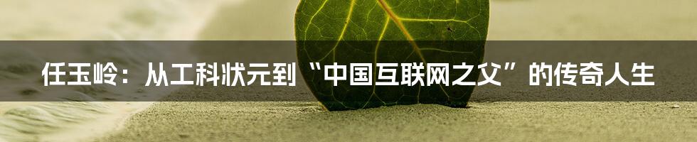 任玉岭：从工科状元到“中国互联网之父”的传奇人生