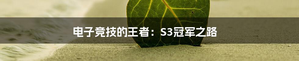 电子竞技的王者：S3冠军之路