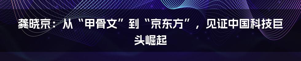 龚晓京：从“甲骨文”到“京东方”，见证中国科技巨头崛起