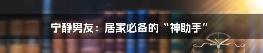 宁静男友：居家必备的“神助手”