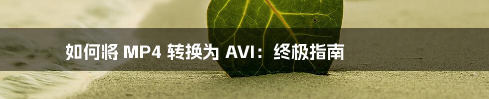 如何将 MP4 转换为 AVI：终极指南